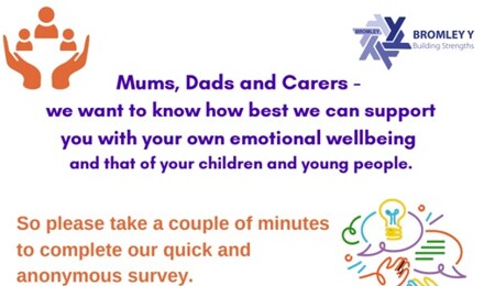 Bromley Y Survey